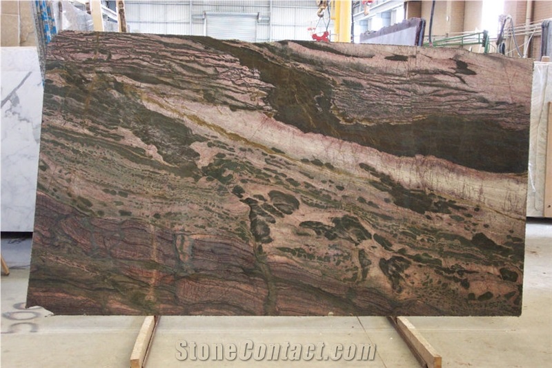 Crocodile Bamboo Quartzite Slab