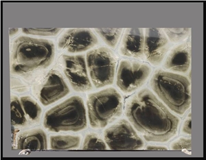 Origin Of Life Semiprecious Stone