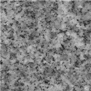 Bianco Ostrika Granite Slabs & Tiles