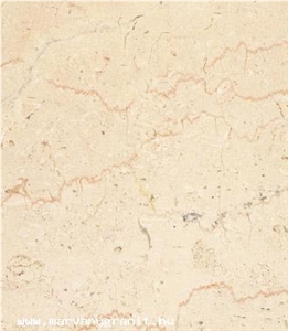 Fiorito Adriatico Limestone Slabs & Tiles, Italy Beige Limestone Fiorito Adriatico Limestone Slabs & Tiles, Italy Beige Limestone