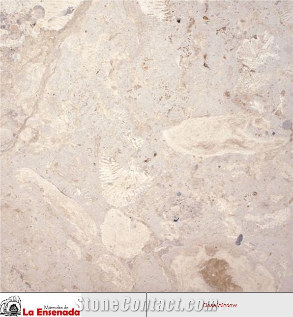Coralina Beige Limestone Slabs & Tiles