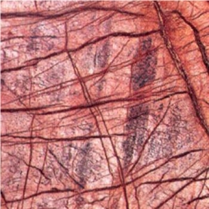 Bidasar Red Marble Slabs & Tiles