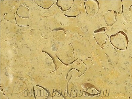 Beige Shellstone Tile