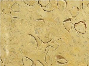 Beige Shellstone Tile Beige Shellstone Tile