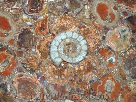 Red Petrified Wood Semi Precious Stone