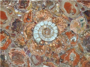 Red Petrified Wood Semi Precious Stone
