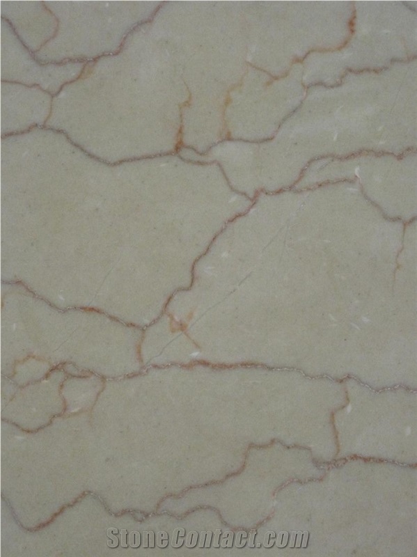 Iran Shell Beige Marble Slabs & Tiles