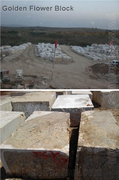 New Golden Granite, Yellow Granite Blocks 2