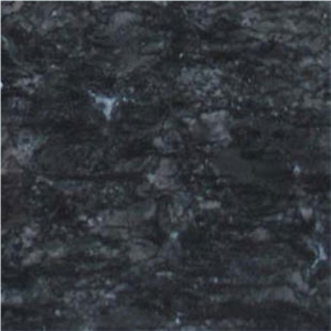 Dark Palm Marble Slabs & Tiles, Viet Nam Black Marble Dark Palm Marble Slabs & Tiles, Viet Nam Black Marble