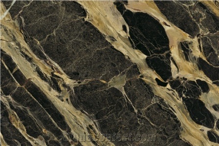 Breche Notre Dame Marble Slabs & Tiles