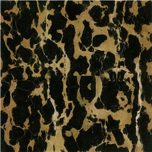 Elegant Gold Marble Slabs & Tiles, China Black Marble