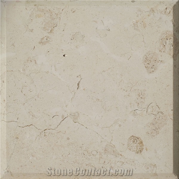 Balzac Fleuri Limestone Slabs & Tiles, France Beige Limestone