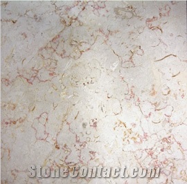 Jerusalem Beige Limestone Slabs & Tiles, Israel Beige Limestone