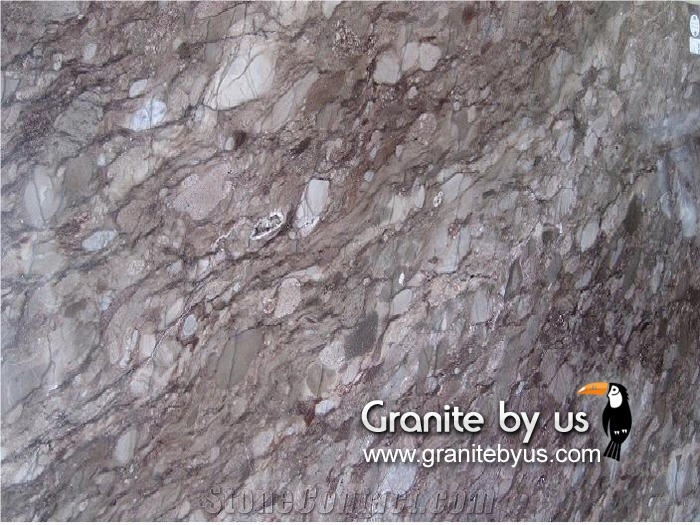 Brunello Quartzite Slabs & Tiles, Brazil Brown Quartzite