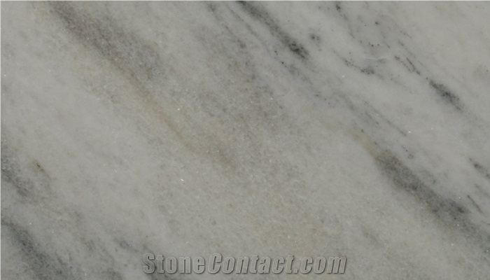 Ambaji Adanga Marble Slabs & Tiles, India White Marble