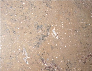 Fossil Brown Limestone Slabs & Tiles, Morocco Brown Limestone