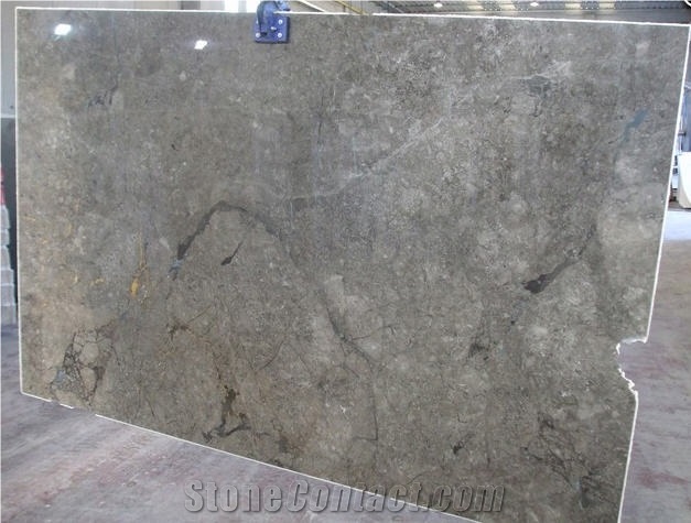 Grigio Billiemi Marble Slabs & Tiles, Italy Grey Marble