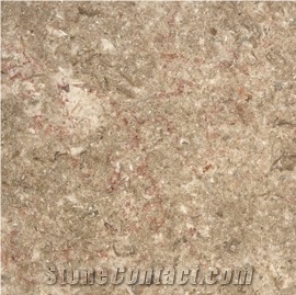 Jerusalem Grey Limestone Slabs & Tiles, Israel Grey Limestone