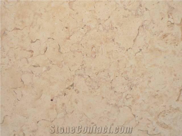 Jerusalem Bone Limestone Slabs & Tiles, Israel White Limestone