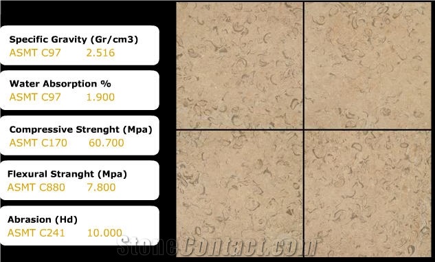 Jerusalem Shells Limestone Slabs & Tiles
