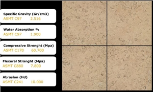 Jerusalem Shells Limestone Slabs & Tiles