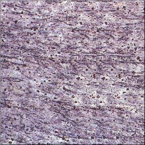 Lavender Blue Granite Slabs & Tiles, India Blue Granite Lavender Blue Granite Slabs & Tiles, India Blue Granite
