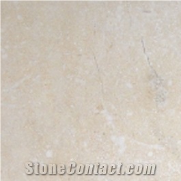 Limestone - Shell Stone