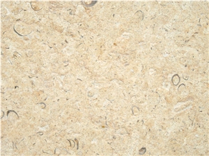Jerusalem Shells Limestone Slabs & Tiles, Israel Beige Limestone Jerusalem Shells Limestone Slabs & Tiles, Israel Beige Limestone