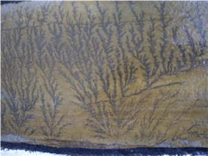 Fossil Stone, Brown Quartzite Flagstone