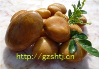 Natural Yellow Pebble Stone Natural Yellow Pebble Stone