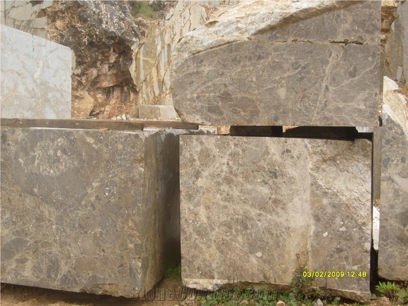 Breccia Paradiso Marble Blocks, Italy Brown Marble