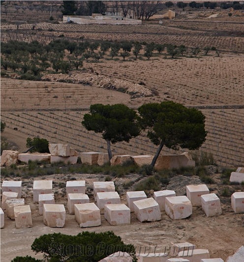 Lumaquela Rosa Quarry - Block