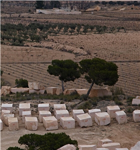 Lumaquela Rosa Quarry - Block