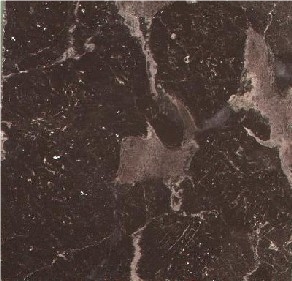 Breche Notre Dame Marble Slabs & Tiles