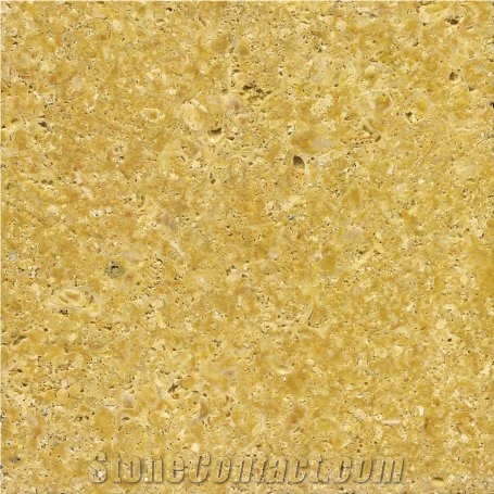 Amarillo Fosil Limestone Slabs & Tiles, Spain Yellow Limestone