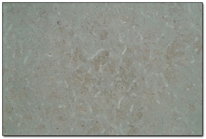 Borghamn Limestone Slabs & Tiles, Sweden Grey Limestone Borghamn Limestone Slabs & Tiles, Sweden Grey Limestone