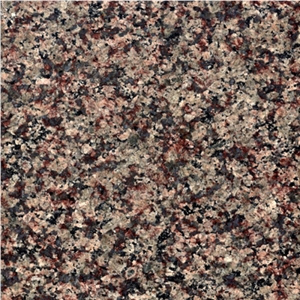 Violetta Granite Tiles, Slabs