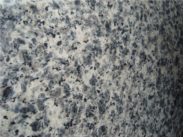 Leopard Skin Flower Granite Slabs & Tiles
