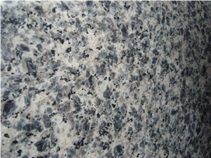 Leopard Skin Flower Granite Slabs & Tiles Leopard Skin Flower Granite Slabs & Tiles