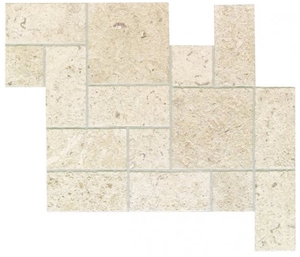 Coral Mist Limestone Pattern