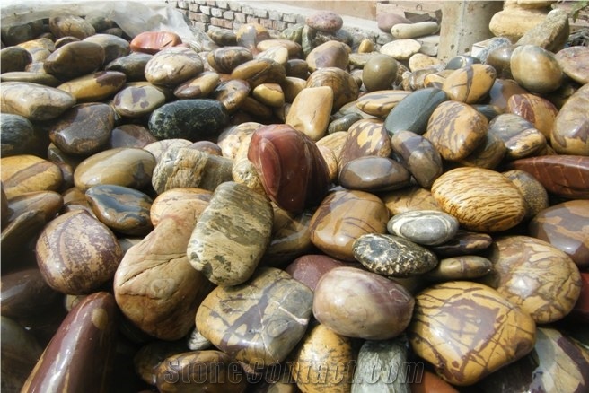 Natural Fossil Garden Stone