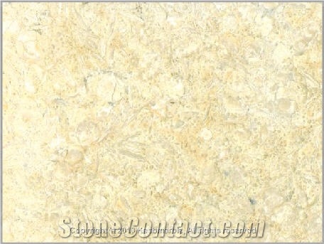 Samaha Marble Slabs & Tiles, Egypt Beige Marble