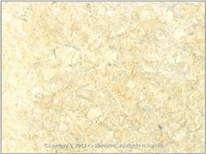 Samaha Marble Slabs & Tiles, Egypt Beige Marble