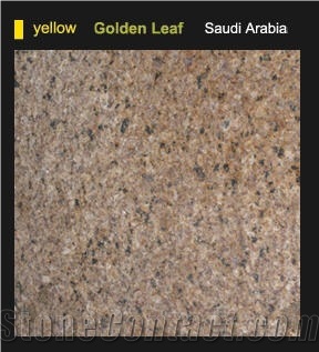 Golden Leaf Granite Slabs & Tiles, Saudi Arabia Yellow Granite