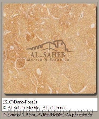 Shelly Limestone Slabs & Tiles, Israel Beige Limestone