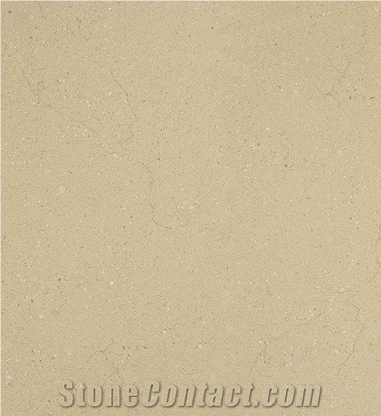 Full Body Glazed Tiles - Torreon