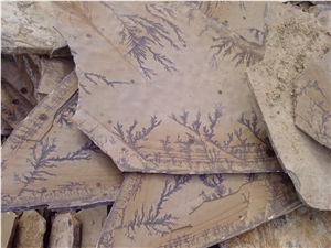 Fossil Mint Sandstone Flagstone
