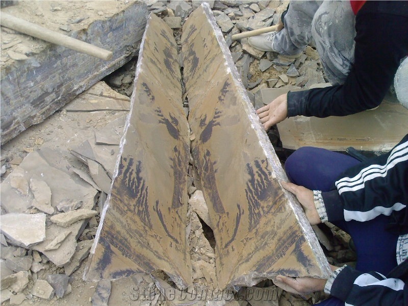 Fossil Sandstone Flagstone