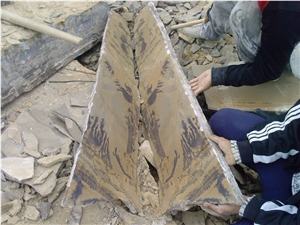 Fossil Sandstone Flagstone