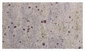 Kashmir White Granite Slabs & Tiles